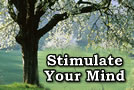 Stimulate Your Mind